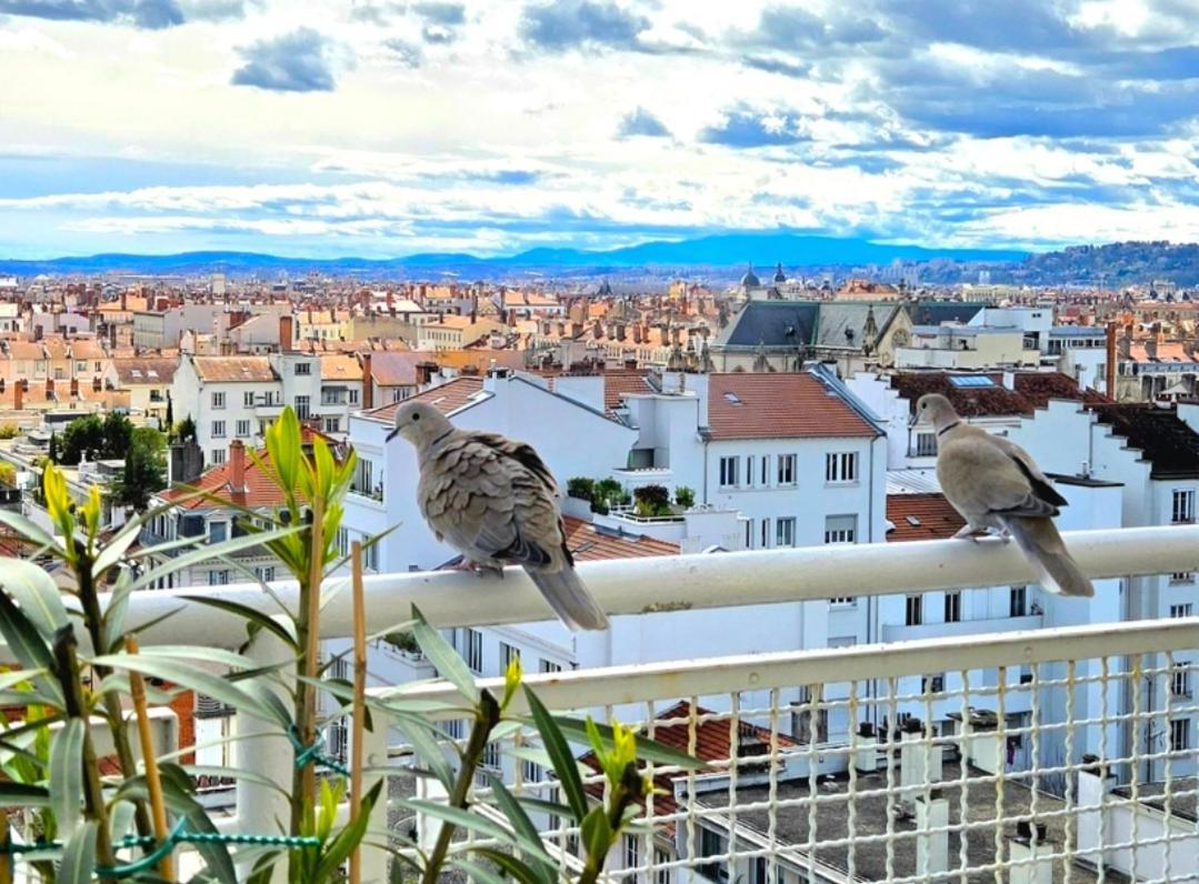 Plein Sud Terrasse Climatisation Garage Netflix Apartment Лион Стая снимка